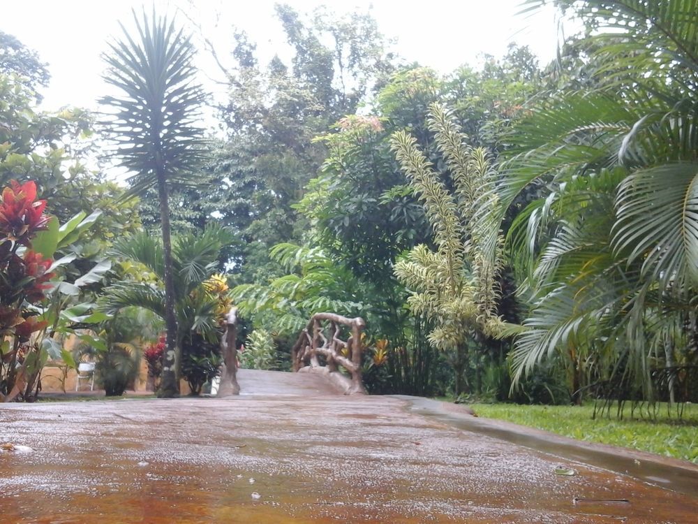 Hotel Las Orquideas La Fortuna 外观 照片