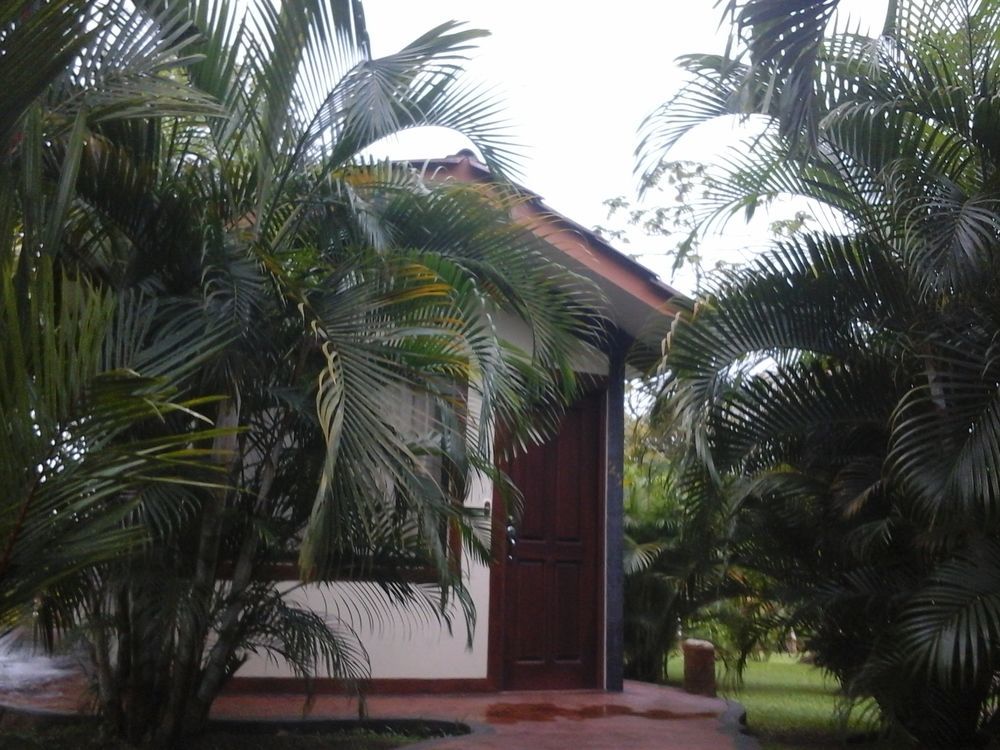 Hotel Las Orquideas La Fortuna 外观 照片