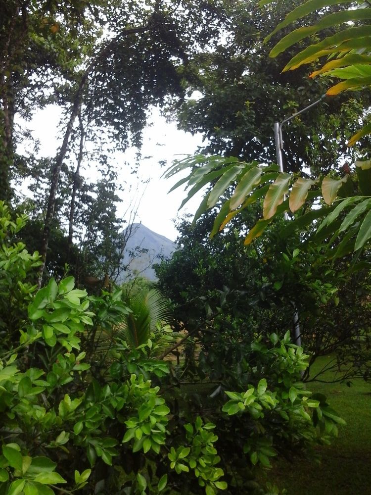 Hotel Las Orquideas La Fortuna 外观 照片