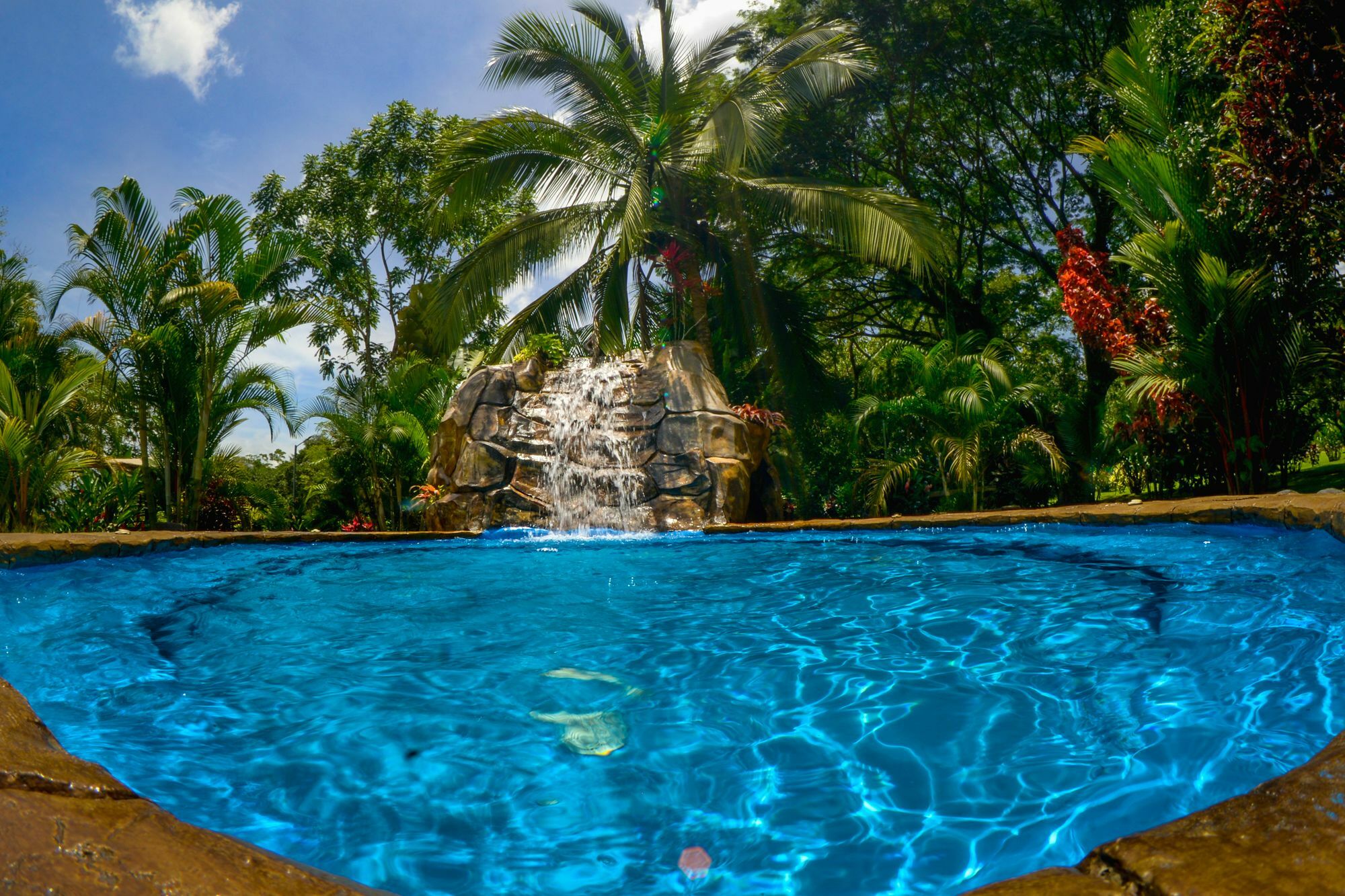 Hotel Las Orquideas La Fortuna 外观 照片